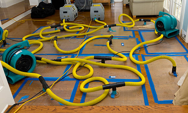 Professional Crawl Space Water Removal technician working in Maple Heights, OH